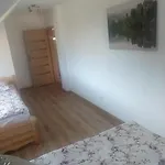 Holiday home I Bike'owy Z Finska Balia Nad Jeziorem Czorsztynskim - 400m Od Jeziora I Sciezki Rowerowej *