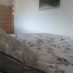 I Bike'owy Z Finska Balia Nad Jeziorem Czorsztynskim - 400m Od Jeziora I Sciezki Rowerowej Holiday home